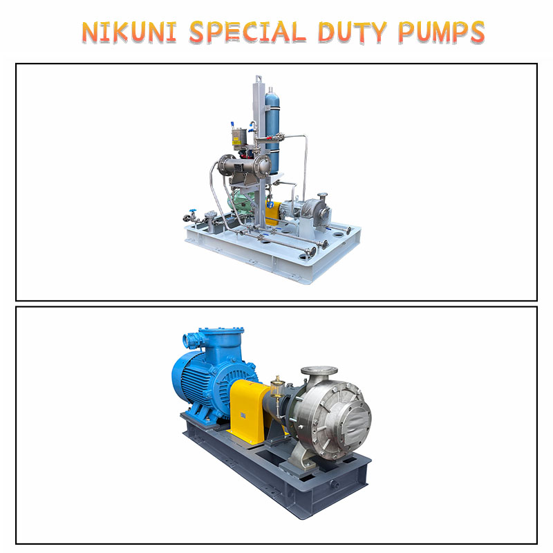 Special Duty Pumps